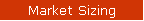 Market Sizing